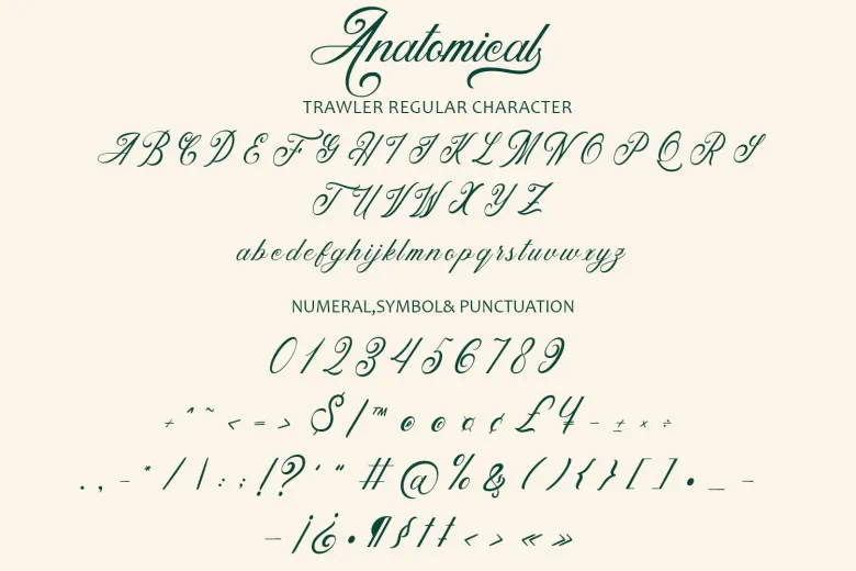 Anatomical Font