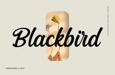 Blackbird Font