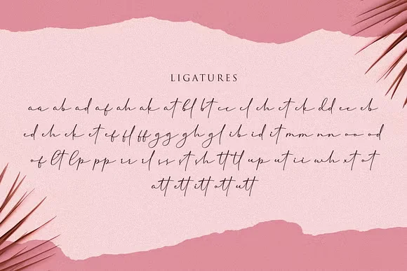 Cherolina Font