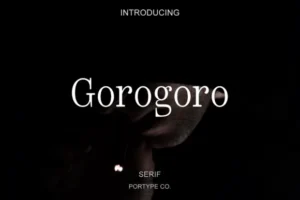 Gorogoro Font
