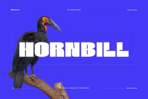 Hornbill Font
