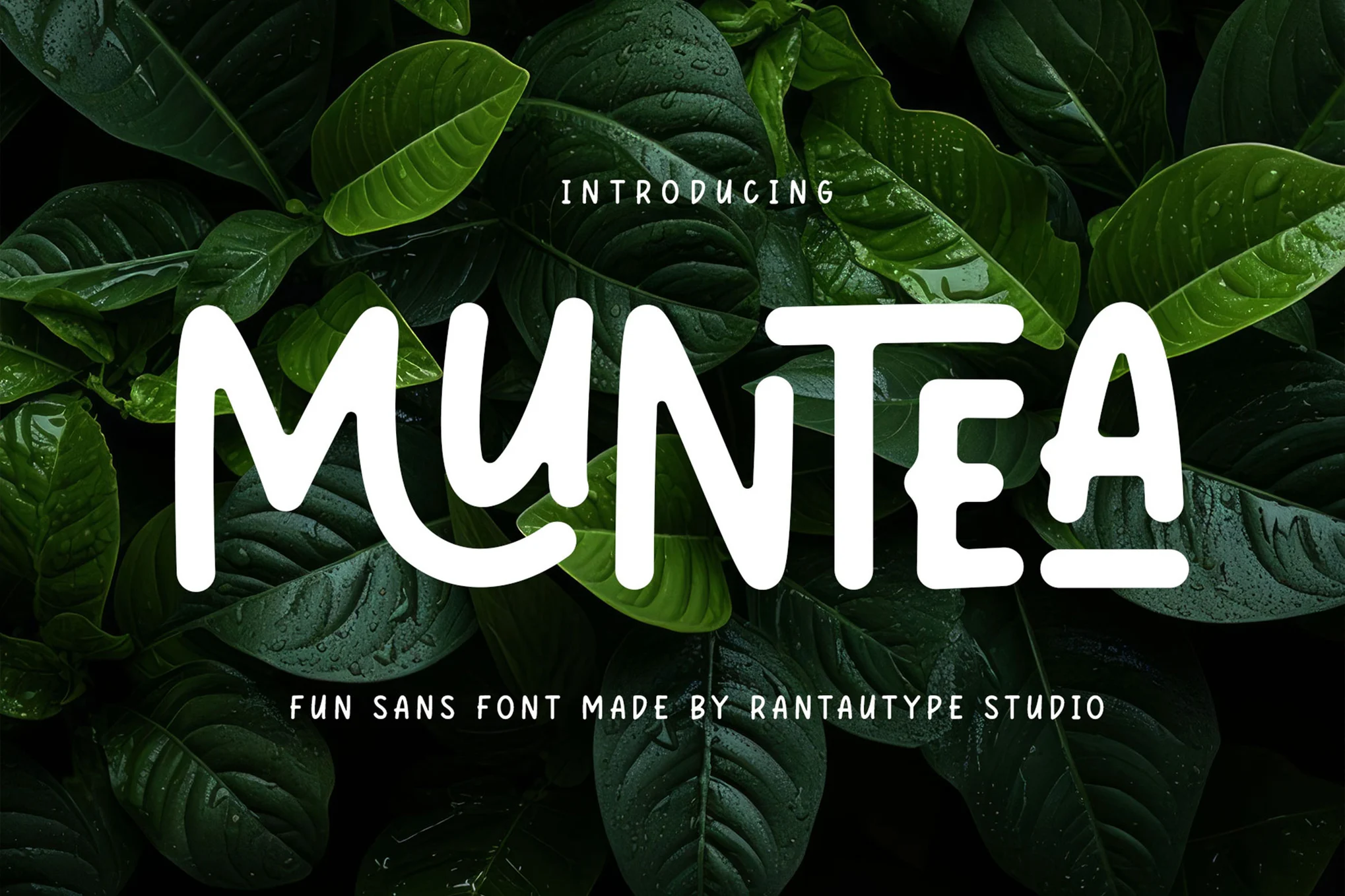 Muntea Font