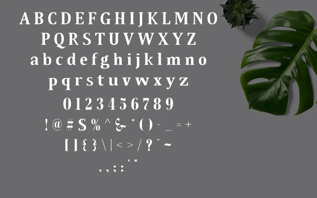 Qonara Font