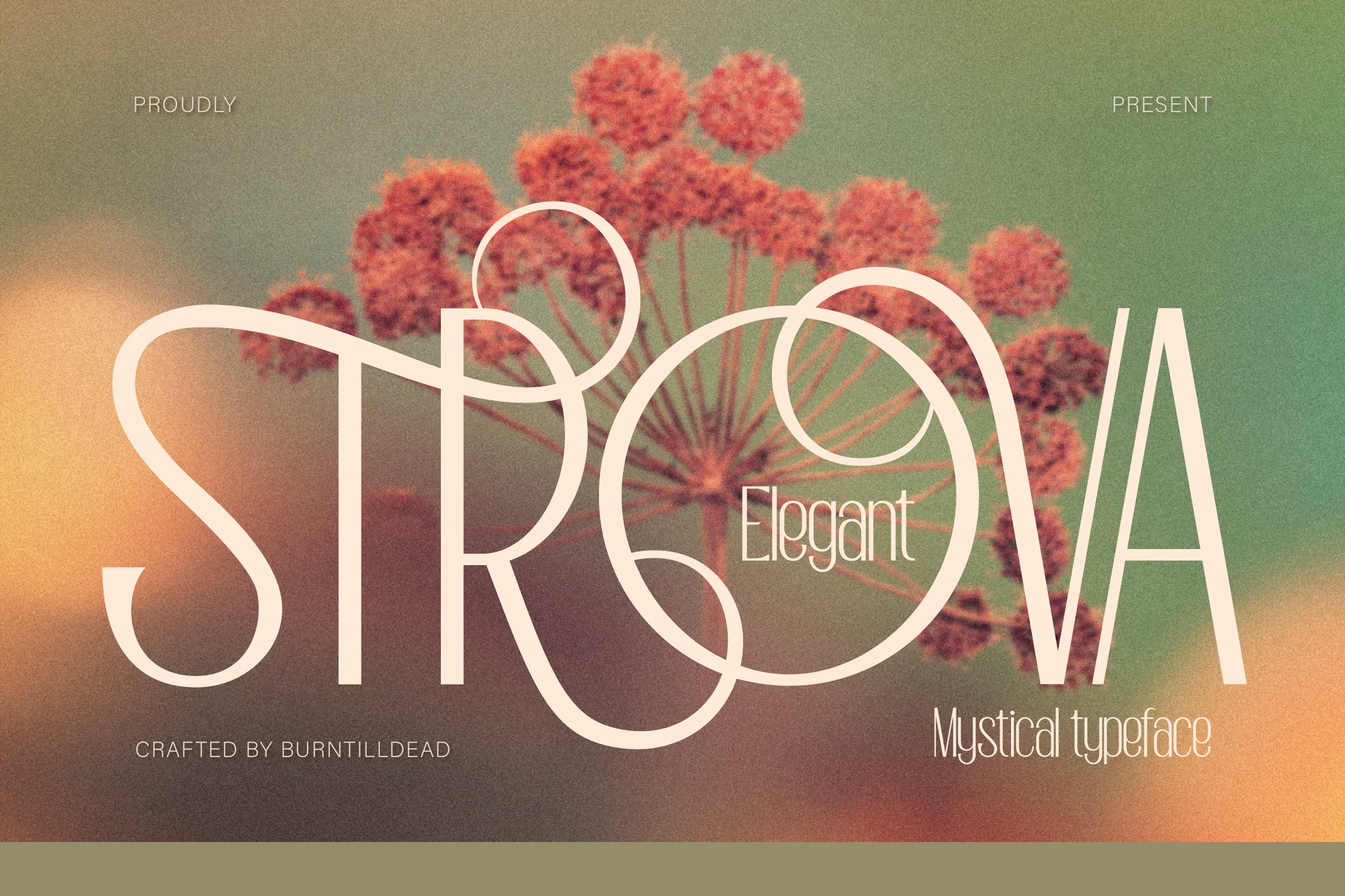 Strova Font