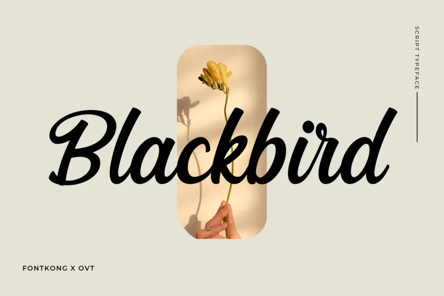 Blackbird Font