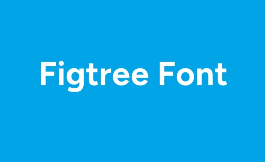 Figtree Font