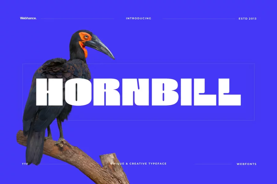 Hornbill Font