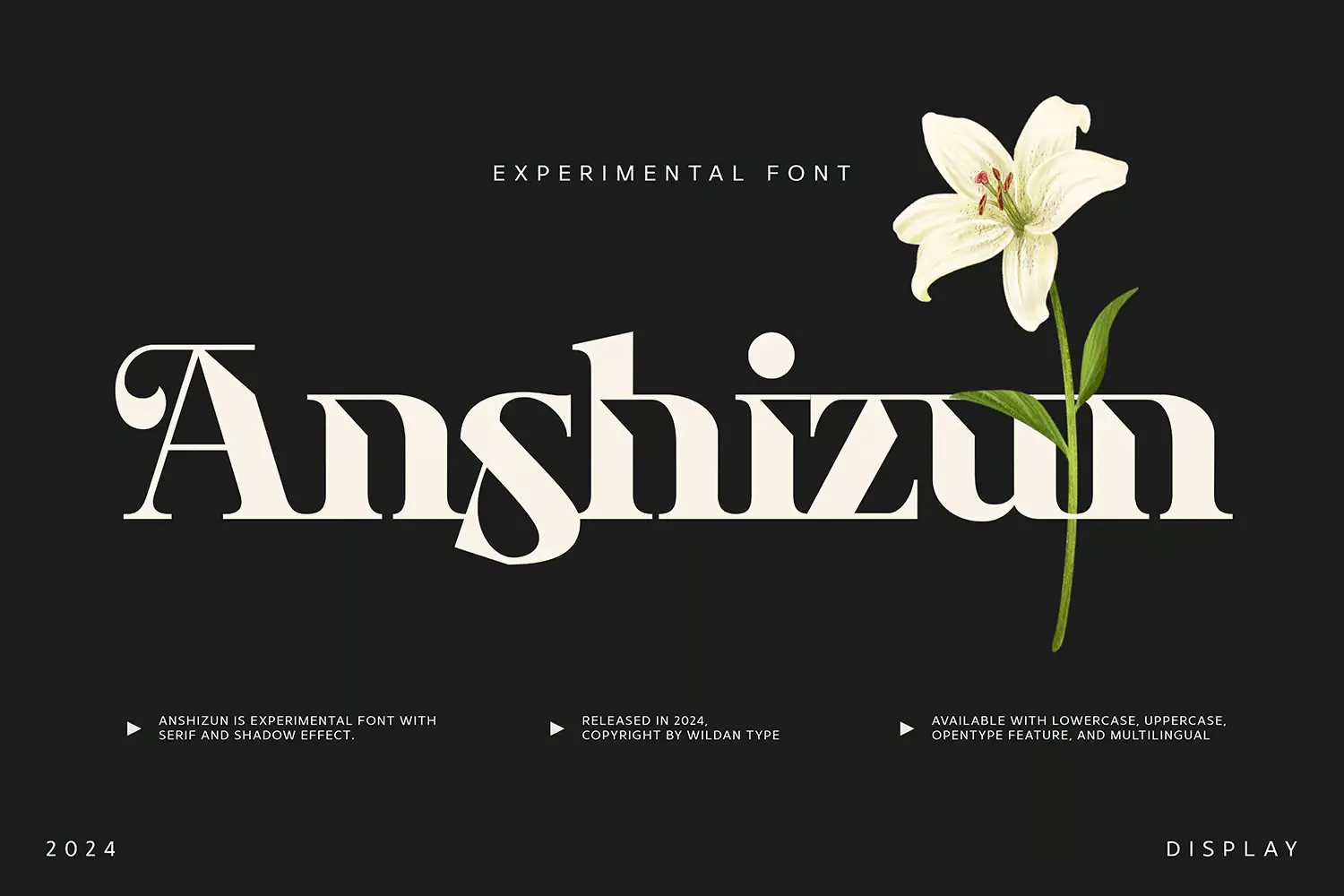 Anshizun Font