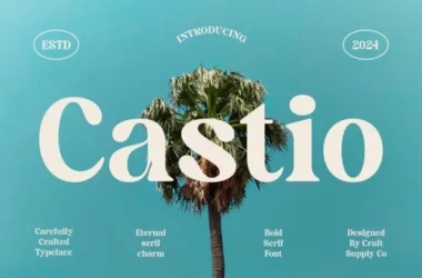 Castio Font