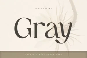 Gray Font